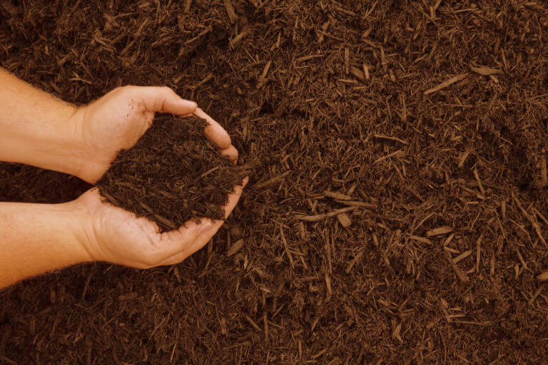 Come Si Usa Il Compost Consorzio Italiano Compostatori